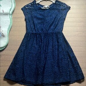 ADAM Levine, Elegant Navy Blue Lace  Dress